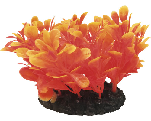 Dekorativní akvarijní rostlina s kamennou základnou