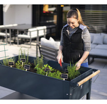 Žena pracuje na zahradním záhonu s bylinkami venku