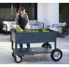 Žena pracuje na mobilním vyvýšeném záhonu s rostlinami na terase.