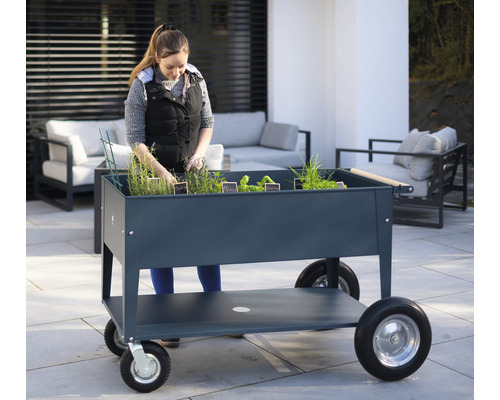 Žena pracuje na mobilním vyvýšeném záhonu s rostlinami na terase.