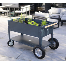 Pojízdný vozík na bylinkovou zahradu s rostlinami a bylinkami