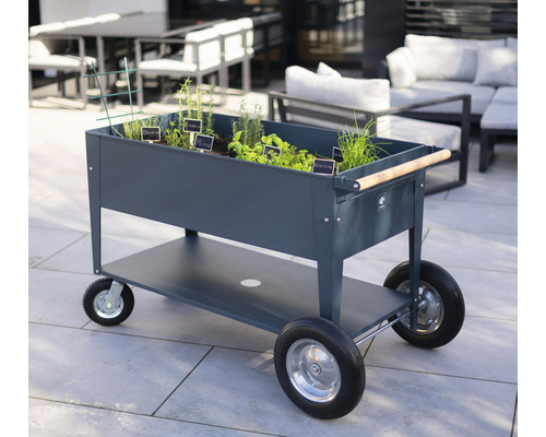Pojízdný vozík na bylinkovou zahradu s rostlinami a bylinkami