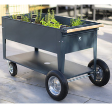 Zvýšený záhon na kolečkách s bylinkami a dřevěnou rukojetí