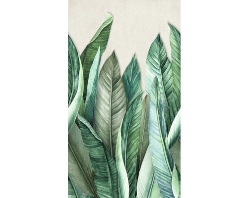 Vliesová fototapeta Grandeco A39501 motiv listů 159x280 cm Ilustrace tropických listů