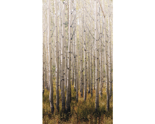 Vliesová fototapeta Grandeco A42601 přírodní motiv 159x280 cm Březový les s vysokou trávou