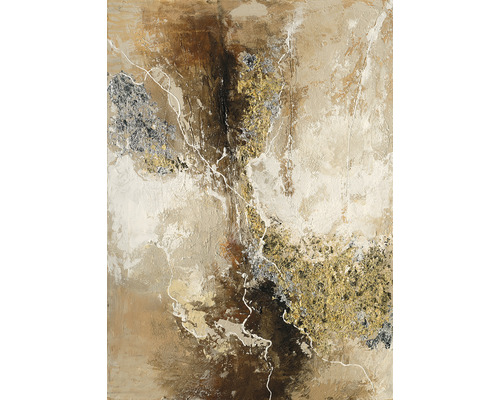 Ručně malovaný obraz Braun Silver Gold 4 50x70 cm-0