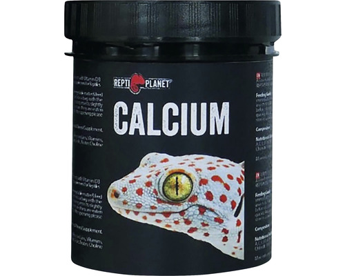 Doplňkové krmivo pro plazy Repti Planet Calcium 125 g
