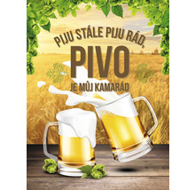 Ilustrace dvou půllitrů piva s pěnou před obilným polem
