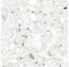 Dlažba teraco Terazzo Silver mat 60 x 60 cm