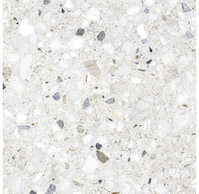 Dlažba teraco Terazzo Silver mat 60 x 60 cm
