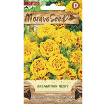 Balení semen nízké aksamitníku