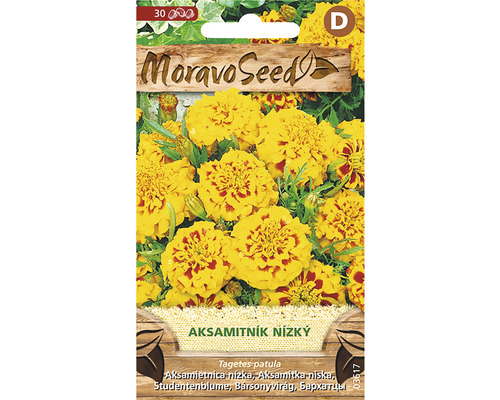 Aksamitník rozkladitý plnokvětý žluto-oranžový MoravoSeed Balení semen nízké aksamitníku