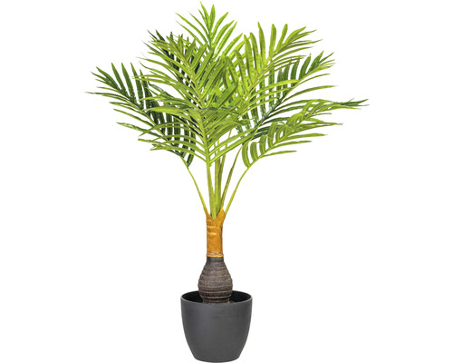 Umělá rostlina palma Kencie Howea 70 cm v černém plastovém květináči 14x12 cm