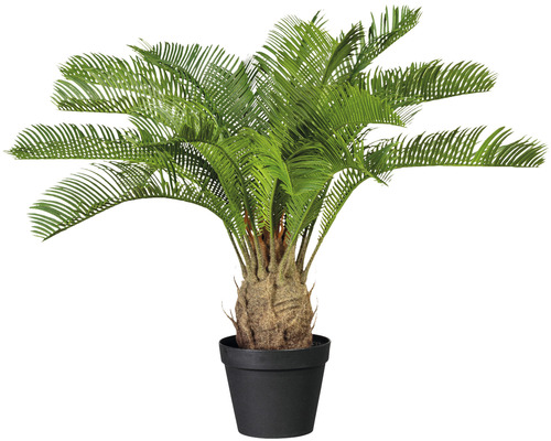 Umělá rostlina cykas cycas revoluta 60 cm zelená v plastovém květináči se zeminou 15x13 cm