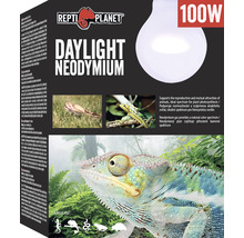 Žárovka Repti Planet Daylight Neodymium 100 W-thumb-0