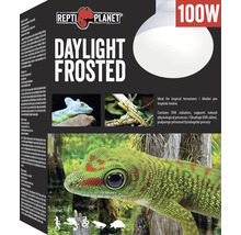 Repti Planet Daylight Frosted 100 W žárovka pro terária