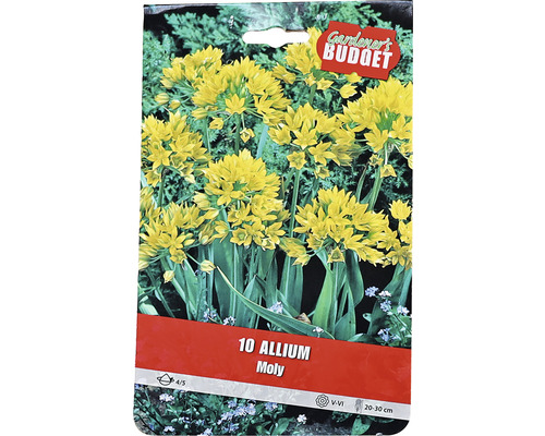 Balení cibulovin Allium Moly