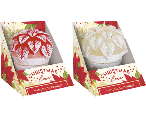 Dvě vánoční svíčky ve tvaru květiny v obalu produktu
