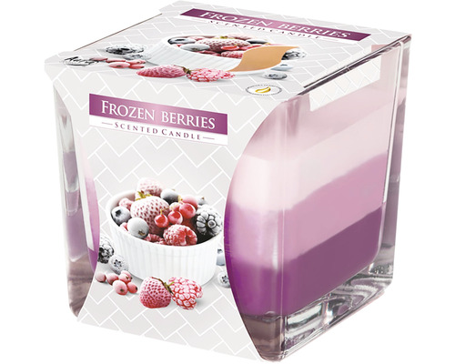 Vonná svíčka ve skle DUHA FROZEN BERRIES 170 g