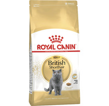 Royal Canin Adult British Shorthair krmivo pro kočky