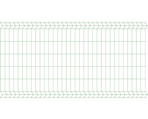 Plotový dílec POLBRAM 3D panel 152 x 250 cm 6005 mechová zelená