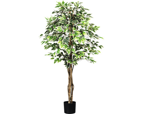 Umělá rostlina fíkus drobnolistý Ficus benjamina 150 cm zeleno-bílý 840 listů přírodní kmen v květináči 16 x 14 cm-0