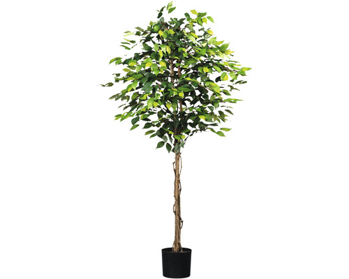 Umělá rostlina fíkus drobnolistý Ficus benjamina 180 cm zelený 1008 listů přírodní kmen v květináči 16 x 14 cm