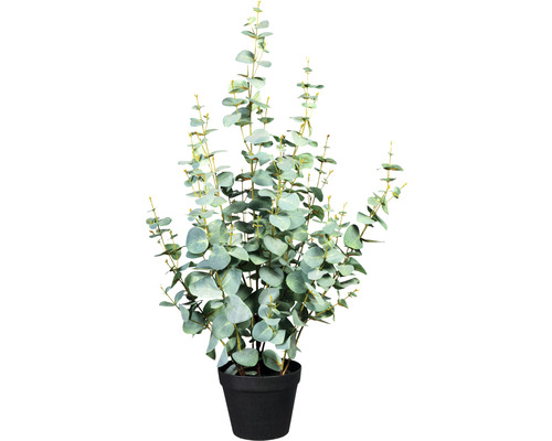 Umělá rostlina eukalyptus Silver dollar 385 listů cca 80 cm zelenošedá v plastovém květináči 15 x 13 cm