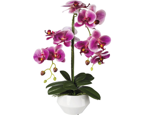 Umělá květina orchidej phalaenopsis 52 cm fuchciová v keramickém květináči Real Touch