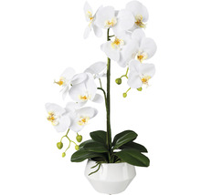 Umělá květina orchidej phalaenopsis 52 cm bílá v keramickém květináči Real Touch