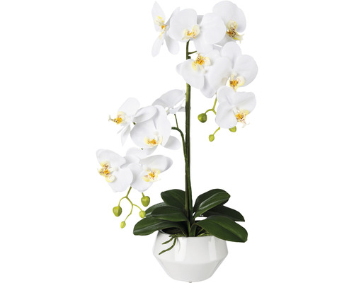 Umělá květina orchidej phalaenopsis 52 cm bílá v keramickém květináči Real Touch Umělá orchidej v bílém květináči