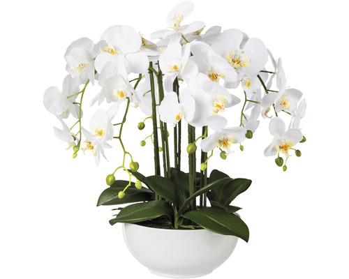 Umělá květina orchidej phalaenopsis 54 cm bílá v keramické misce Real Touch Bílá orchidej v bílém květináči