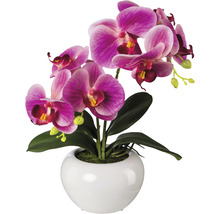 Umělá květina orchidej phalaenopsis 35 cm fuchciová v keramickém květináči Real Touch