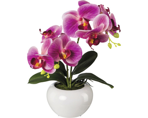 Umělá květina orchidej phalaenopsis 35 cm fuchciová v keramickém květináči Real Touch