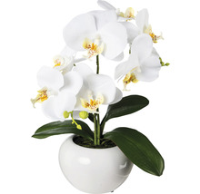 Umělá květina orchidej phalaenopsis 35 cm bílá v keramickém květináči Real Touch