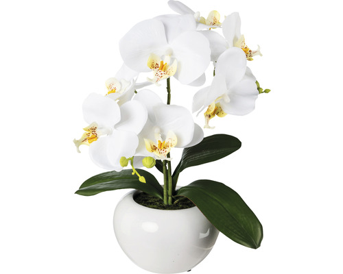 Umělá květina orchidej phalaenopsis 35 cm bílá v keramickém květináči Real Touch Umělá orchidej v bílém květináči