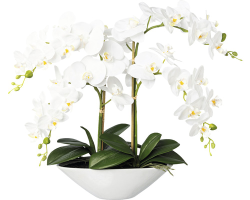 Umělá květina orchidej phalaenopsis 53 cm bílá Real Touch v keramické bílé misce 30,5x14x9 ,5 cm Dekorativní bílá orchidej v květináči