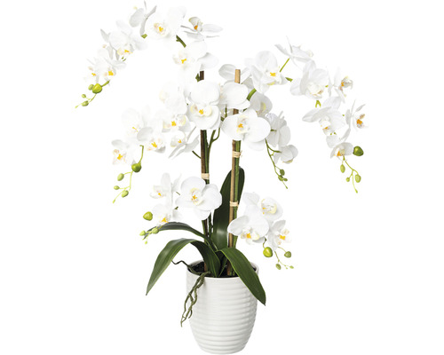 Umělá květina orchidej phalaenopsis 67 cm bílá v keramickém květináči 13 x 15 cm Real Touch