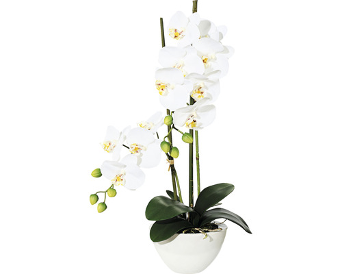 Umělá květina orchidej phalaenopsis 50 cm bílá v bílé keramické misce 14,5 x 8,5 cm Real Touch