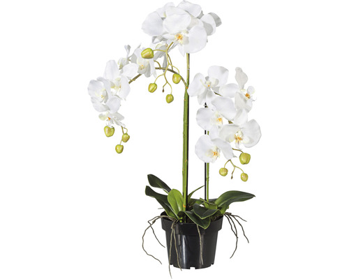 Umělá květina orchidej phalaenopsis 62 cm bílá v plastovém květináči 15 cm