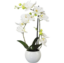Umělá květina orchidej phalaenopsis 3D-tisk v keramickém květináči 42 cm bílá Real Touch