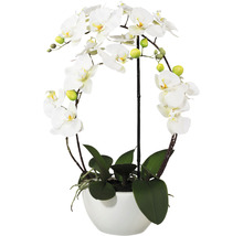 Umělá květina orchidej phalaenopsis 3D-tisk v keramickém květináči 52 cm bílá Real Touch
