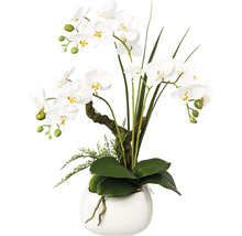 Umělá květina orchidej phalaenopsis v keramickém květináči 46 cm bílá Real Touch
