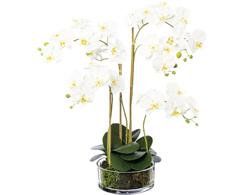 Umělá květina orchidej phalaenopsis ve skle 50 cm bílá