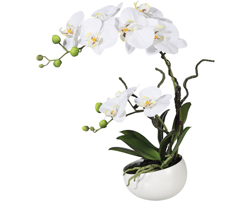 Umělá květina orchidej phalaenopsis 42 cm bílá v keramické misce Real Touch