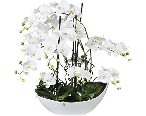 Umělá květina orchidej phalaenopsis aranžmá 68 cm bílá v bílé keramické misce 45 x 25 cm Real Touch
