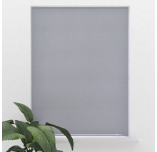 Šedá roleta před oknem s pokojovou rostlinou