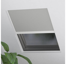 Plisé roleta na okně s rostlinou