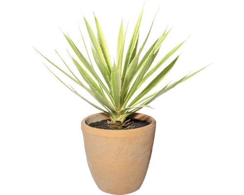 Umělá rostlina juka zeleno-krémová 45 cm v terakotovém květináči 17,5 x 17,5 cm se zeminou