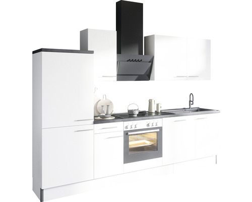 Kuchyňská linka s dřezem, sporákem, troubou, digestoří a skříňkami